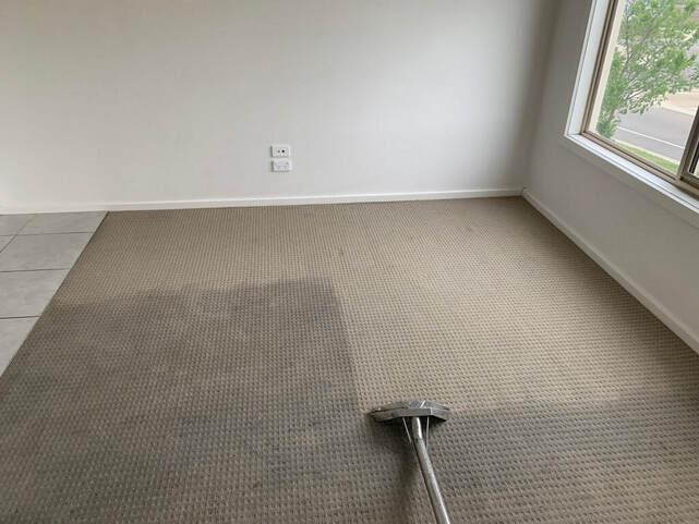 carpet flooring being cleaned at a customers home in mesa