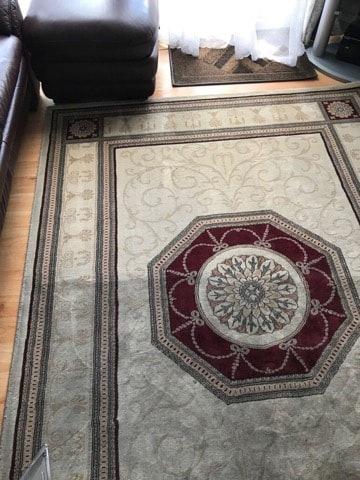 a carpet cleaner cleaing a rug at a client home in mesa, az
