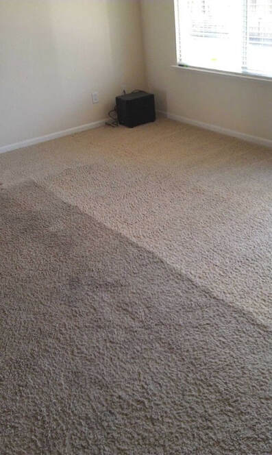 a carpet in the middle of being cleaned in mesa, arizona 